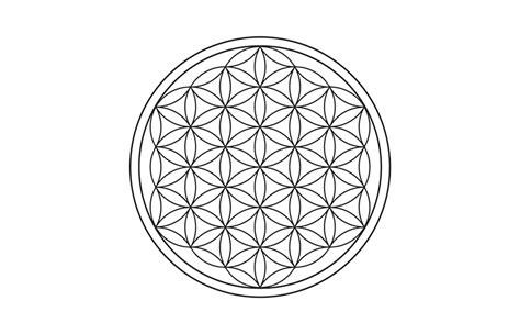 Illustrazione del Fiore della Vita