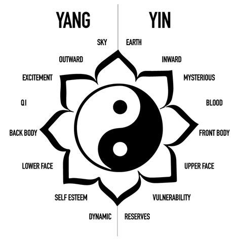 Diagramma Yin e Yang con spiegazione delle opposizioni