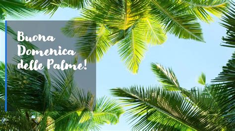 Icona della Domenica delle Palme con ramo di ulivo