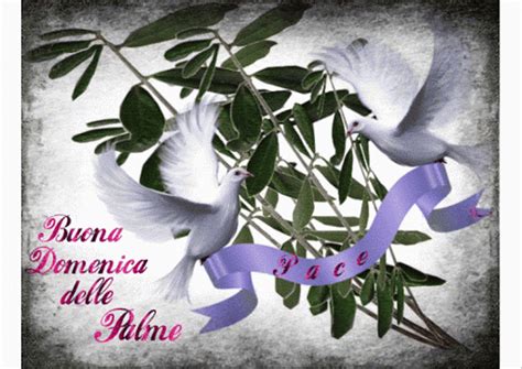 Immagine di auguri per la Domenica delle Palme con un ramo di ulivo benedetto e la scritta