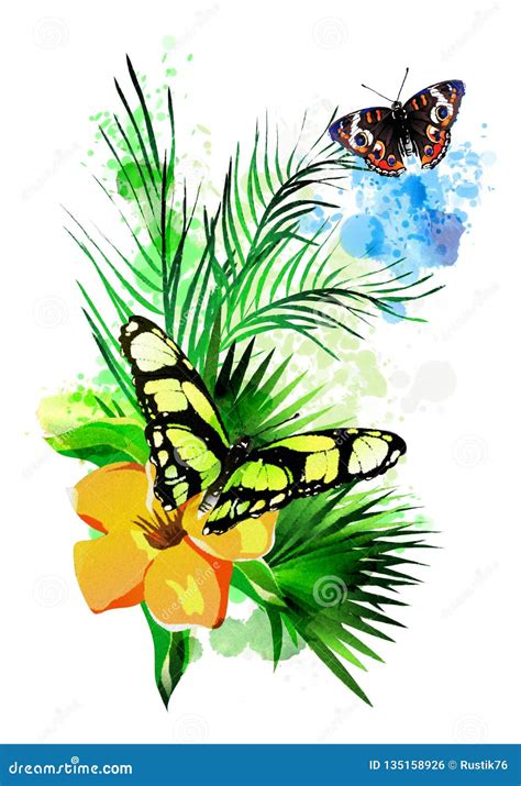 Farfalle tropicali e vegetazione lussureggiante