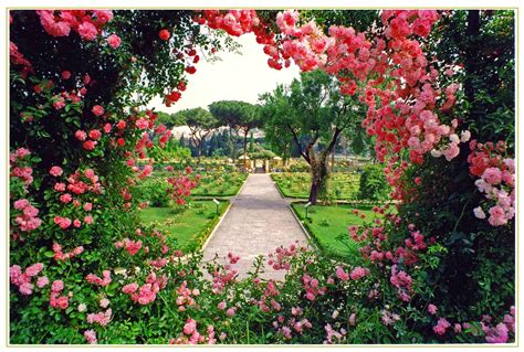 Il Roseto senza spine vicino alla Porziuncola