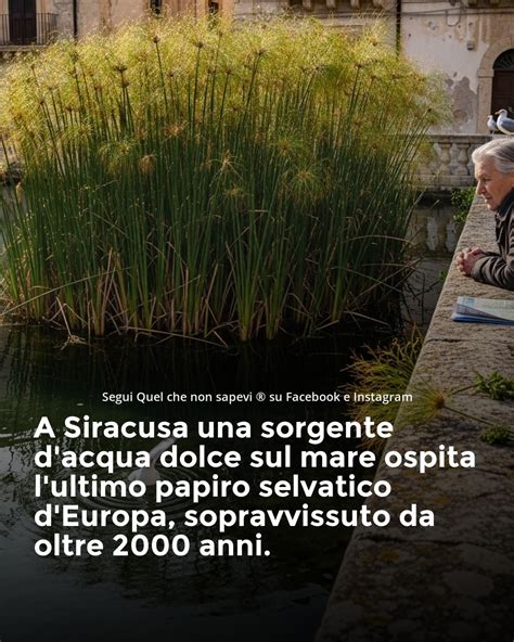 Un'immagine simbolica di una fontana d'acqua pura che sgorga in un paesaggio sereno, contrapposta a immagini di bottiglie vuote o inquinate.