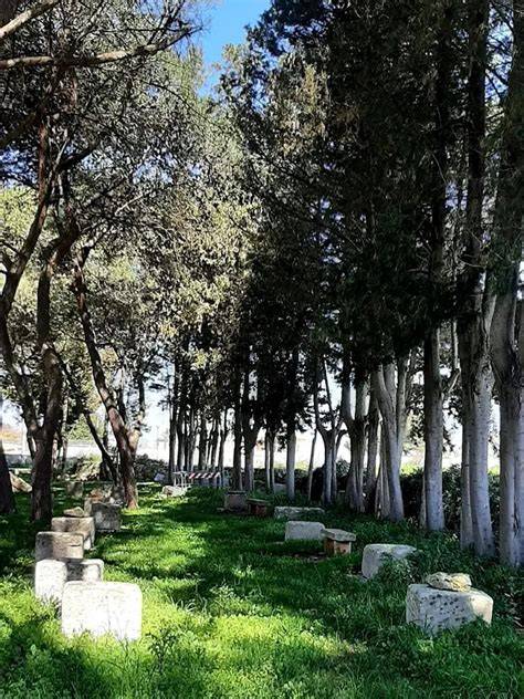 Foto delle Pozzelle nel Parco di Castrignano De’ Greci