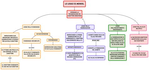 Schema cronologico delle principali leggi e sentenze sul crocifisso nelle scuole