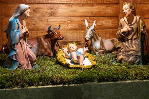 Composizione artistica della Natività con bue e asino