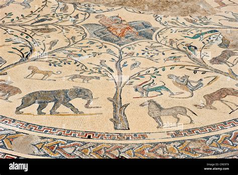 Mosaico pavimentale antico con raffigurazioni di animali simbolici