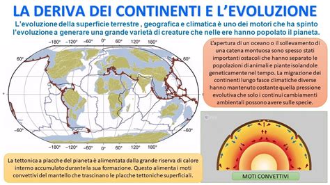 Mappa dell'evoluzione dei confini della Terra Santa/Israele