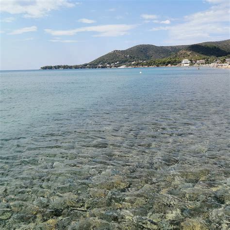 Foto panoramica di Case del Conte con uliveti, muretti a secco e il mare sullo sfondo