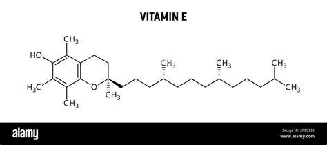 Infografica che mostra la struttura chimica della Vitamina E e alcuni estratti botanici