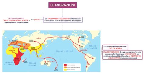 Mappa che evidenzia le principali destinazioni missionarie