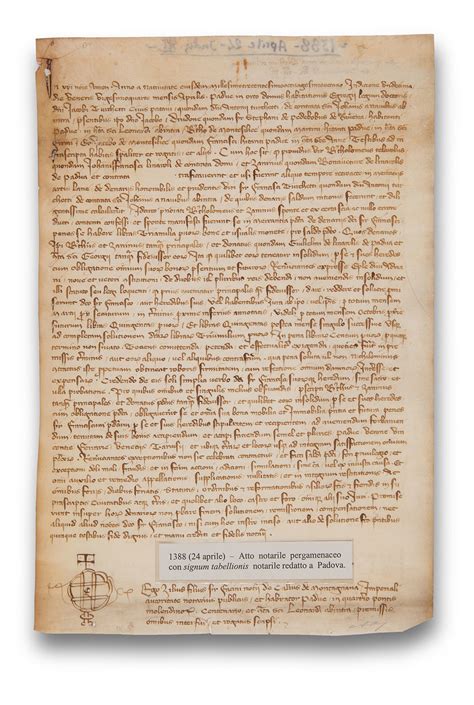 Pergamena o documento notarile medievale relativo a un testamento