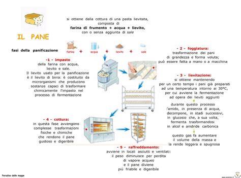 Schema del processo di panificazione