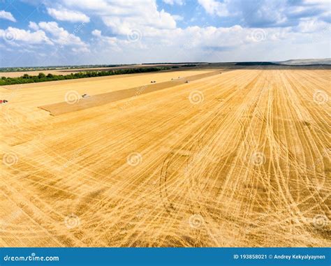 Campo agricolo o prodotti agricoli freschi