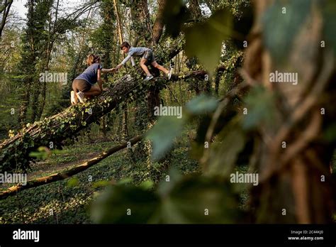il Gigante che aiuta un bambino a salire su un albero in fiore