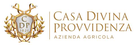 Foto storica o illustrazione della Casa Divina Provvidenza di Como