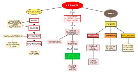 Mappa concettuale: le diverse vocazioni nella Chiesa (martirio, missione, educazione, vita contemplativa)