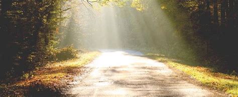 Illustrazione di un sentiero illuminato che conduce verso una luce divina