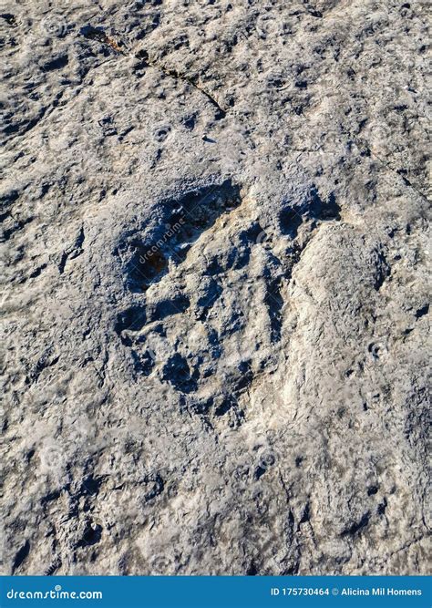Illustrazione delle impronte di dinosauro presenti nel Monumento Naturale vicino a Fátima
