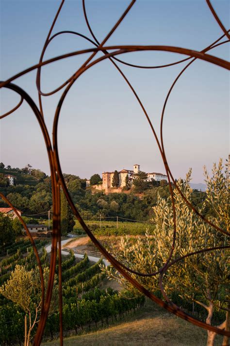 Dettaglio dei vigneti che circondano l'Abbazia di Rosazzo