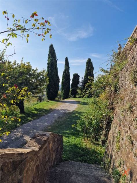 Il giardino dell'Abbazia di Rosazzo con le sue 