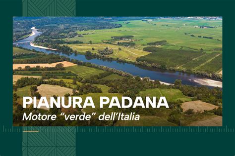 Foto rappresentativa di una produzione agricola cerealicola in Pianura Padana