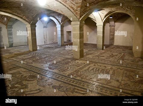 Dettaglio del mosaico pavimentario nella cripta dell'Abbazia di San Colombano