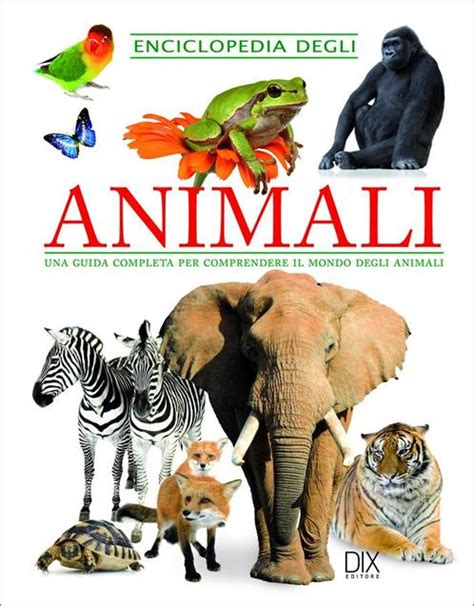 infografica che illustra il ruolo degli animali nella vita umana (compagnia, aiuto riabilitativo, gioco per bambini)