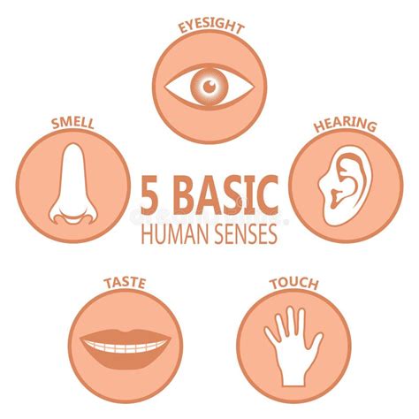 rappresentazione iconografica dei cinque sensi umani in contesto spirituale o meditativo