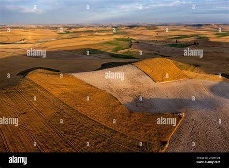 Paesaggio della Meseta spagnola con pellegrini sul Cammino