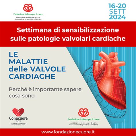 Schema che illustra le diverse patologie cardiache trattate