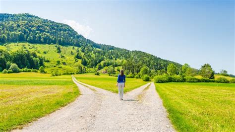 Immagine simbolica di un bivio o di una strada che si separa, rappresentando le scelte di vita definitive