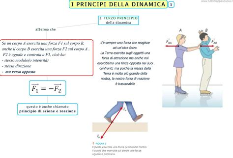 Rappresentazione schematica della dinamica dell'omicidio di Ana Maria Di Piazza.