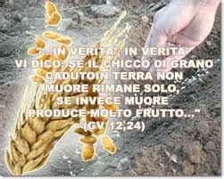 Illustrazione del chicco di grano che muore per portare frutto