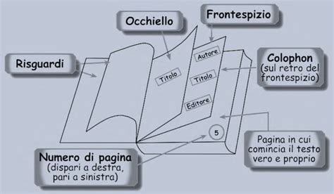 Schema che illustra la struttura a doppia pagina del libro: testo a sinistra, disegno da colorare a destra