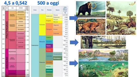 infografica che illustra i vari tempi del Qohelet in cicli della vita