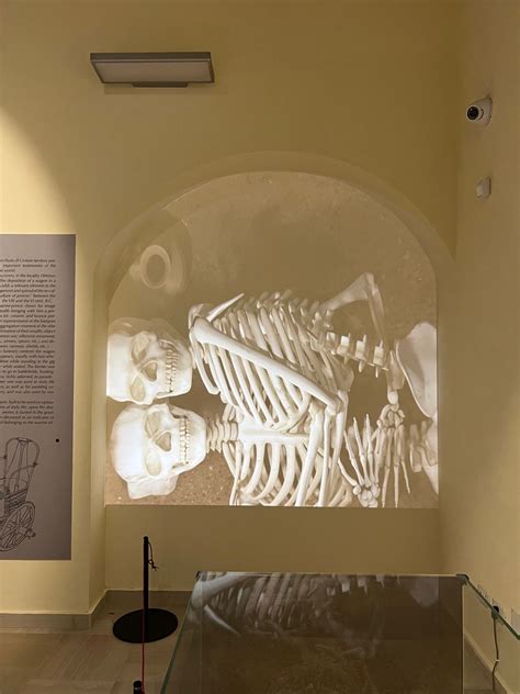 Reperti archeologici esposti nel Museo Archeologico di San Paolo di Civitate