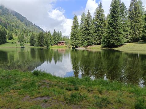 Vista panoramica del Lago dei Caprioli circondato da boschi di conifere