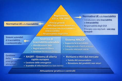 schematica rappresentazione del controllo di Dio sulla storia, natura e animali