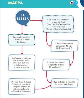 Infografica che mostra la divisione della Bibbia in Antico e Nuovo Testamento, con il numero di libri per ciascuna sezione.