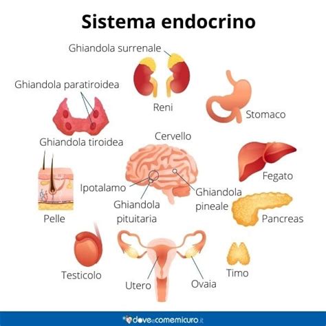 Schema: Panoramica patologie endocrine trattate