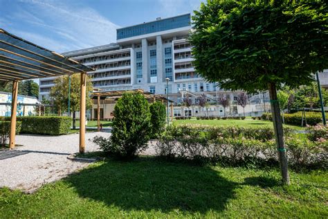 Infografica che illustra le aree di ricerca della SISSA e le sue principali collaborazioni internazionali.