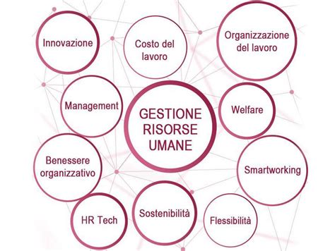 Infografica che illustra le diverse aree della gestione delle risorse umane: reclutamento, formazione, sviluppo, valutazione, comunicazione