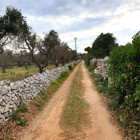 Rappresentazione storica di un tratturo con pastori e greggi