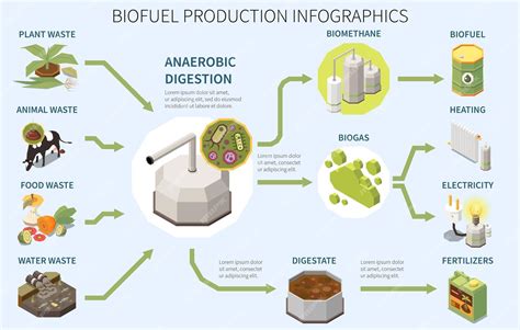 Infografica sulla produzione pro-capite di rifiuti organici urbani in Europa