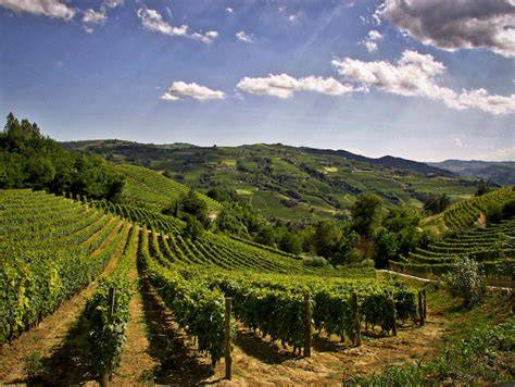 Veduta panoramica di Santo Stefano Belbo e delle sue colline vitate