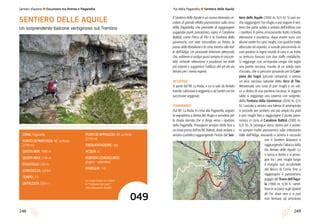 Sentiero in salita con gradoni rocciosi e supporti artificiali