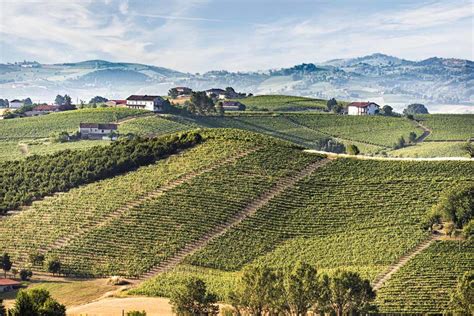 Foto panoramica delle colline del Monferrato dal Sacro Monte di Crea con le Alpi sullo sfondo
