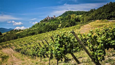 Foto del percorso tra i vigneti e i boschi che conducono al Sacro Monte di Crea