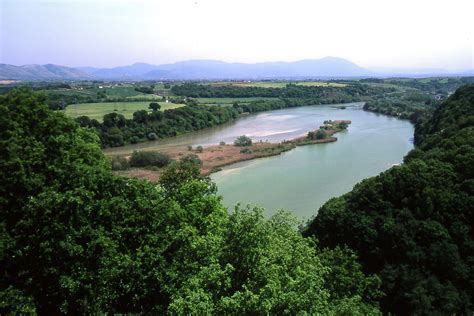 Uccelli in volo sopra le acque della Riserva Naturale Nazzano Tevere-Farfa